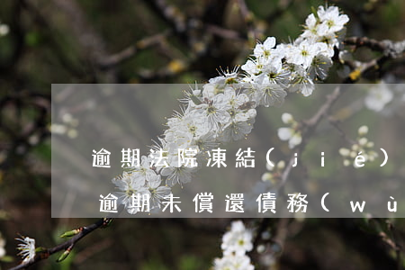 逾期法院凍結(jié)所有賬戶怎么處理，逾期未償還債務(wù)，法院如何凍結(jié)你的所有賬戶？解決方案大揭秘！